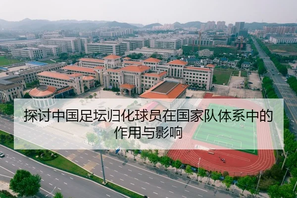 探讨中国足坛归化球员在国家队体系中的作用与影响