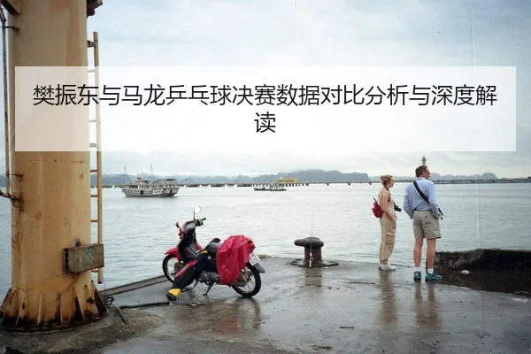 樊振东与马龙乒乓球决赛数据对比分析与深度解读